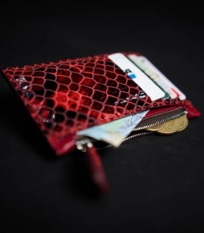 Porte carte zippé